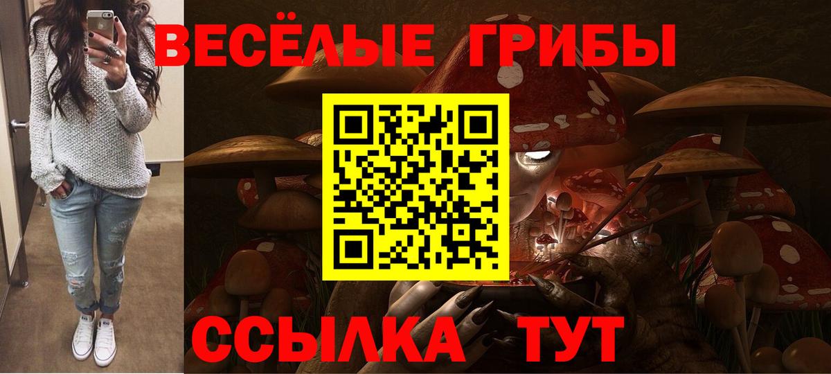 Галлюциногенные грибы мицелий Азов